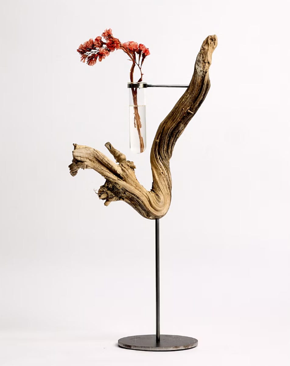 exposición de héctor serrano en madrid con su obra "raíces"
