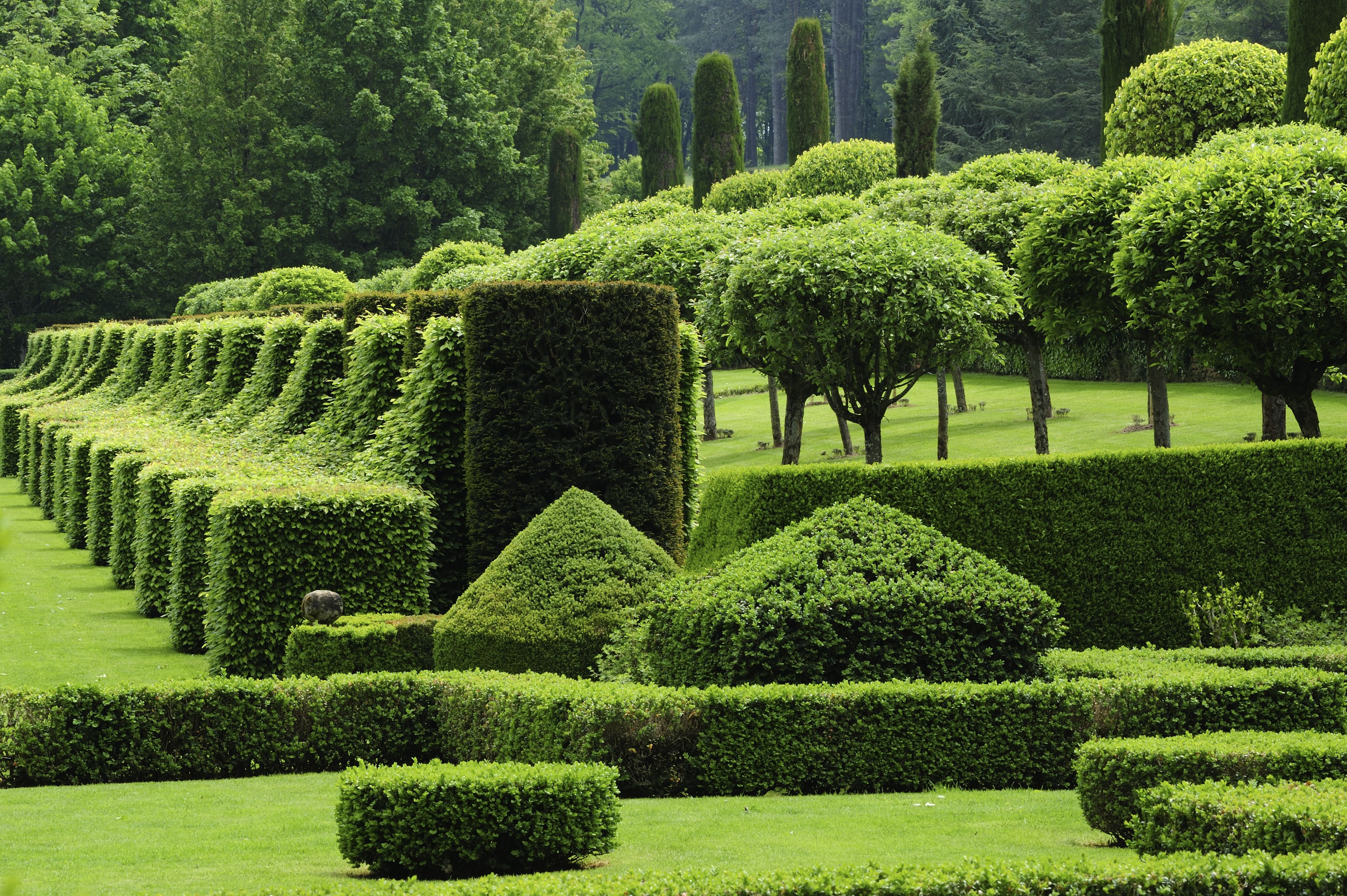 Topiary gardening: