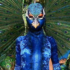 heidi klum halloween 2023 peacock