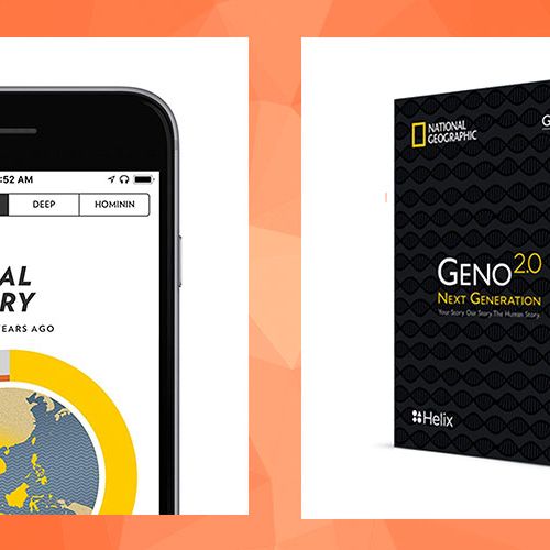 National Geographic Ancestry Test Kit