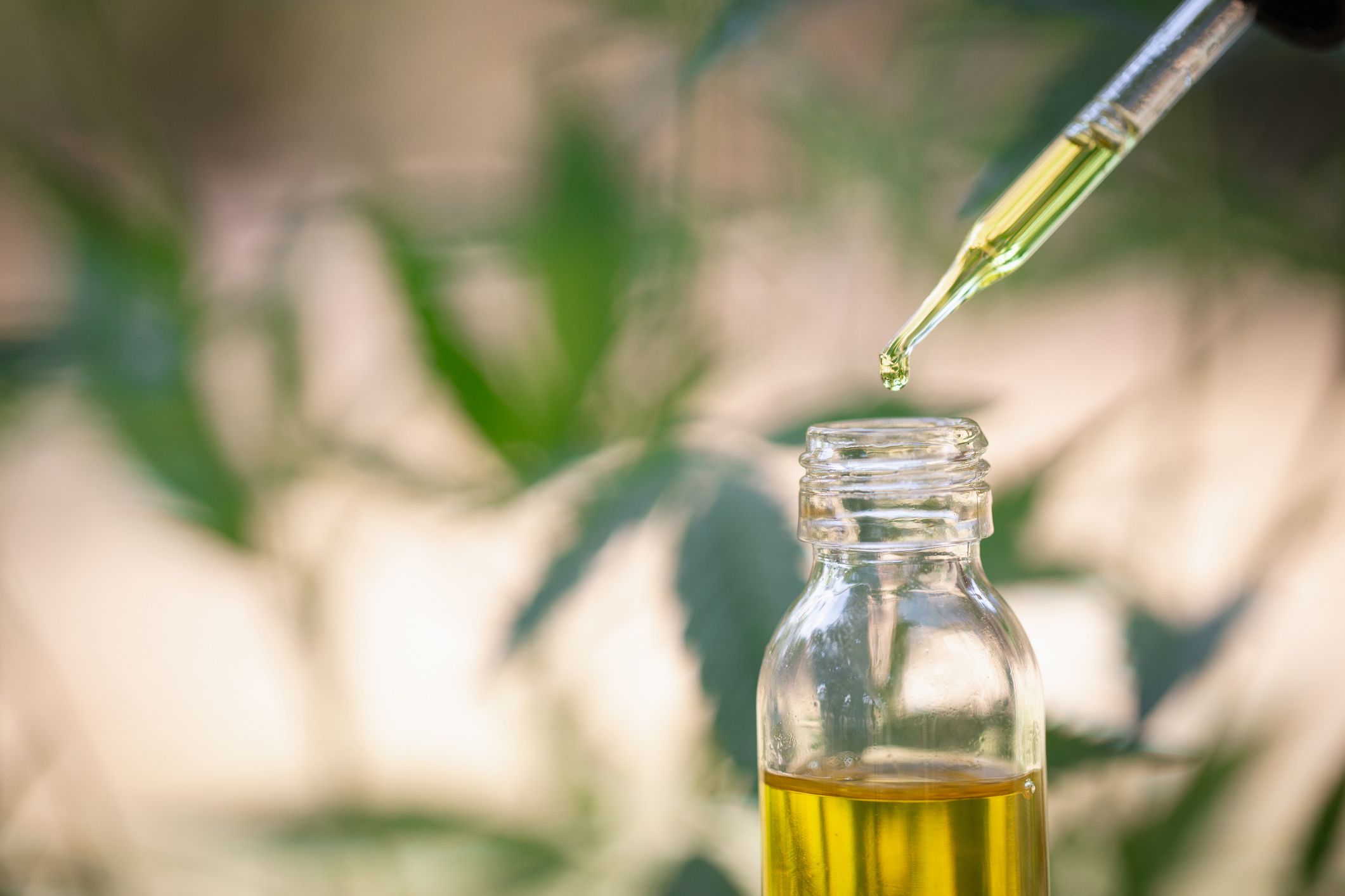 What is CBD Oil? - Everything to Know About CBD Oil