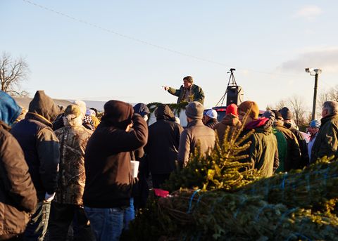 christmas tree farm and auction on friday, november 19, 2021 in mifflinburg, pa