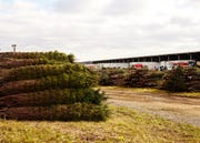 christmas tree farm and auction on friday, november 19, 2021 in mifflinburg, pa