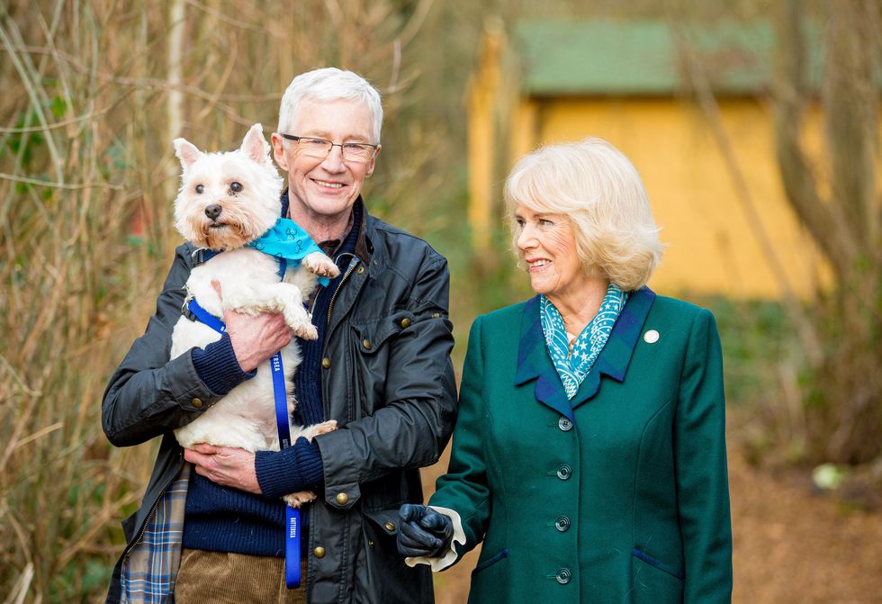 her majesty the queen consort paul ogrady for the love of dogs royal special