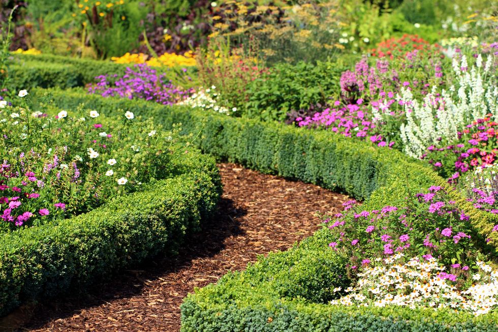 herb and flower garden