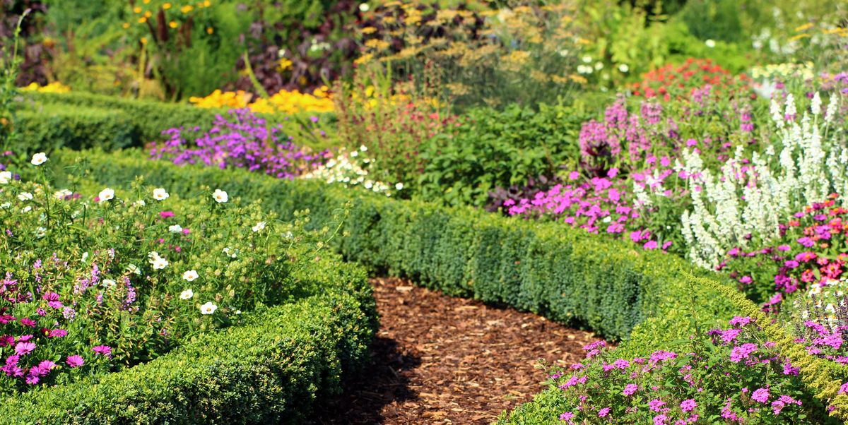 4 Tragically Outdated Landscaping Styles Experts Are Totally Over