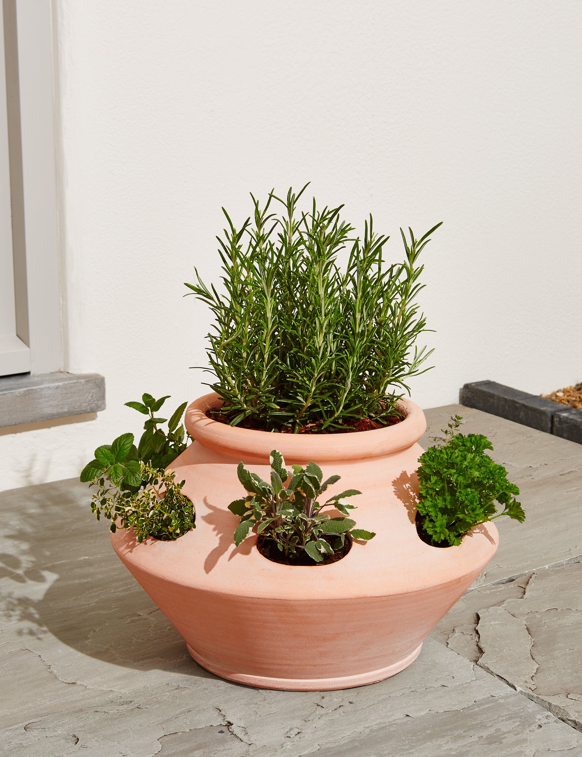 Image of Terracotta herb planter