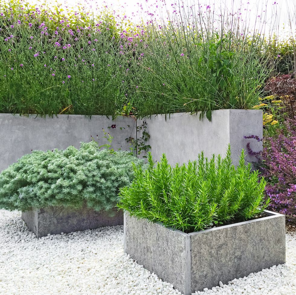 beautiful garden with blooming plants, concrete and stone details contemporary design