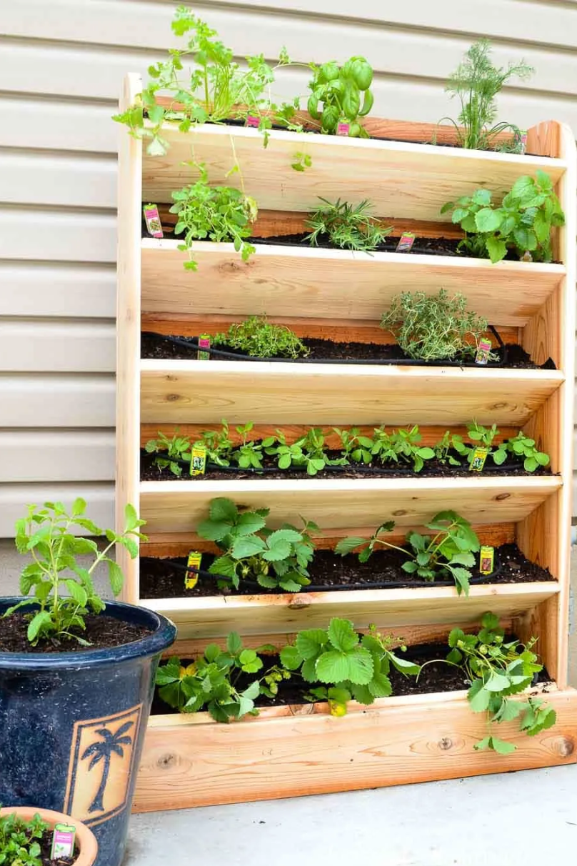 herb garden ideas drip watering system herb garden ideas drip watering system