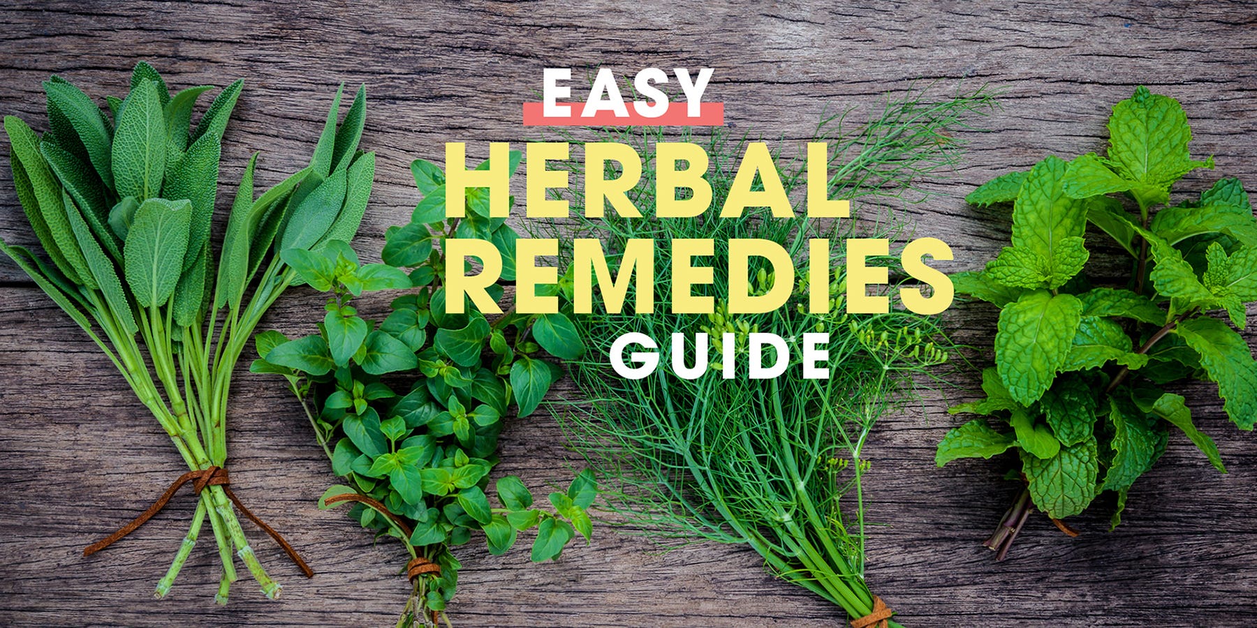 Our Herbal Remedies Guide Will Help You Discover the Best Natural Fixes