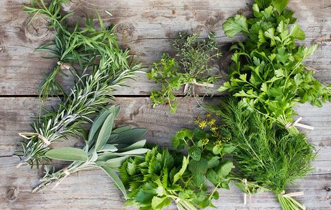 bundles of herbs