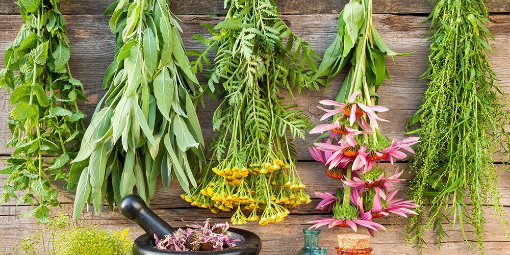 Local Herbal Pharmacy: Nature’s Remedies for Community Well-Being