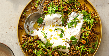 lentil burrata