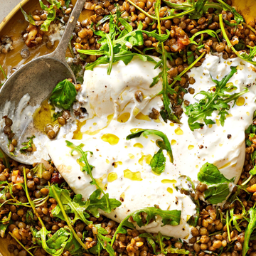 lentil burrata lentil burrata
