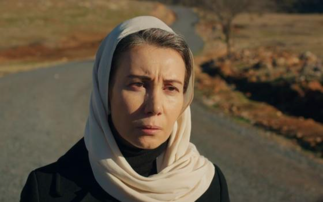 hercai capitulos