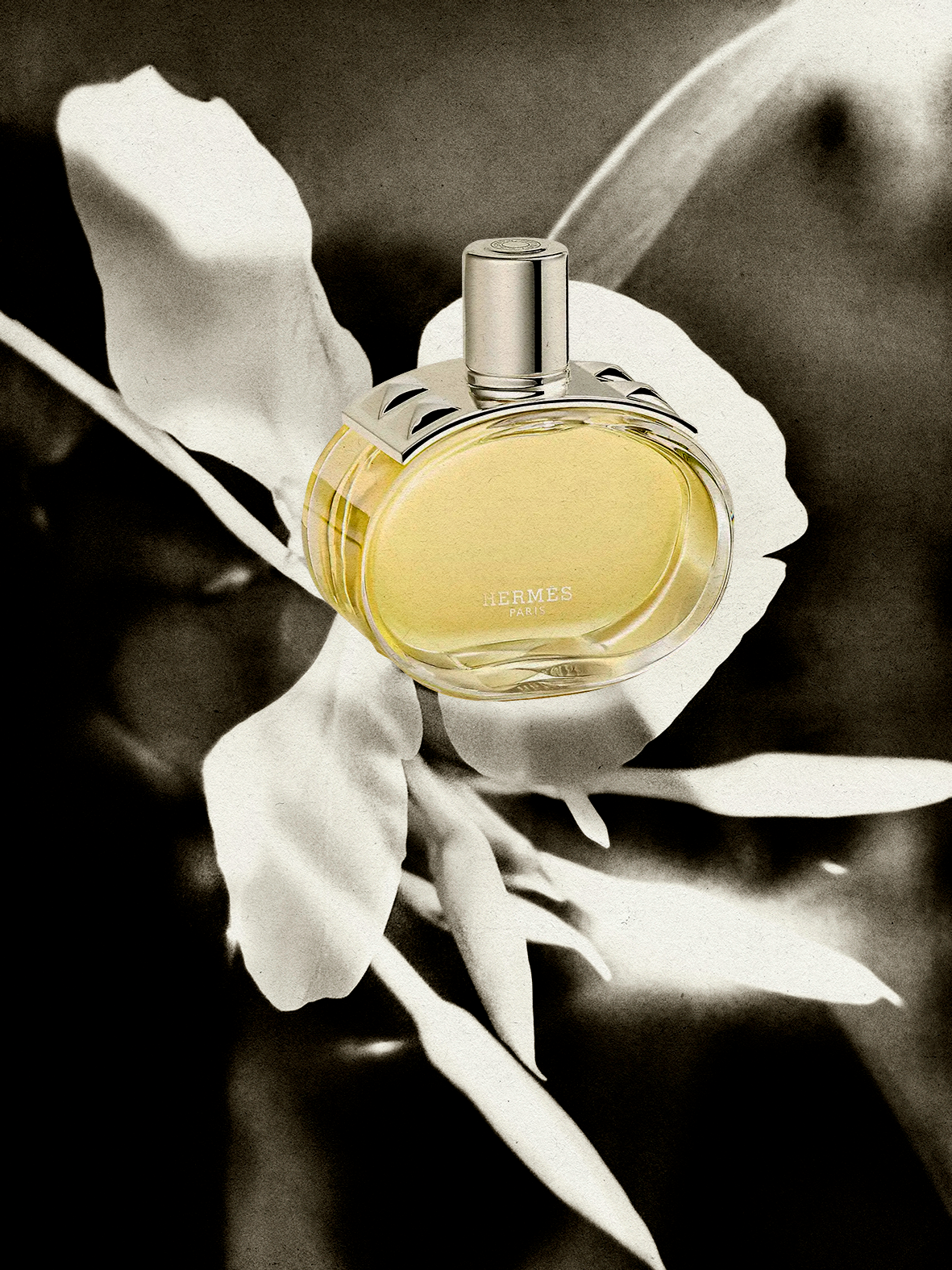 Hermès Barénia Eau de Parfum Perfume Review for 2024