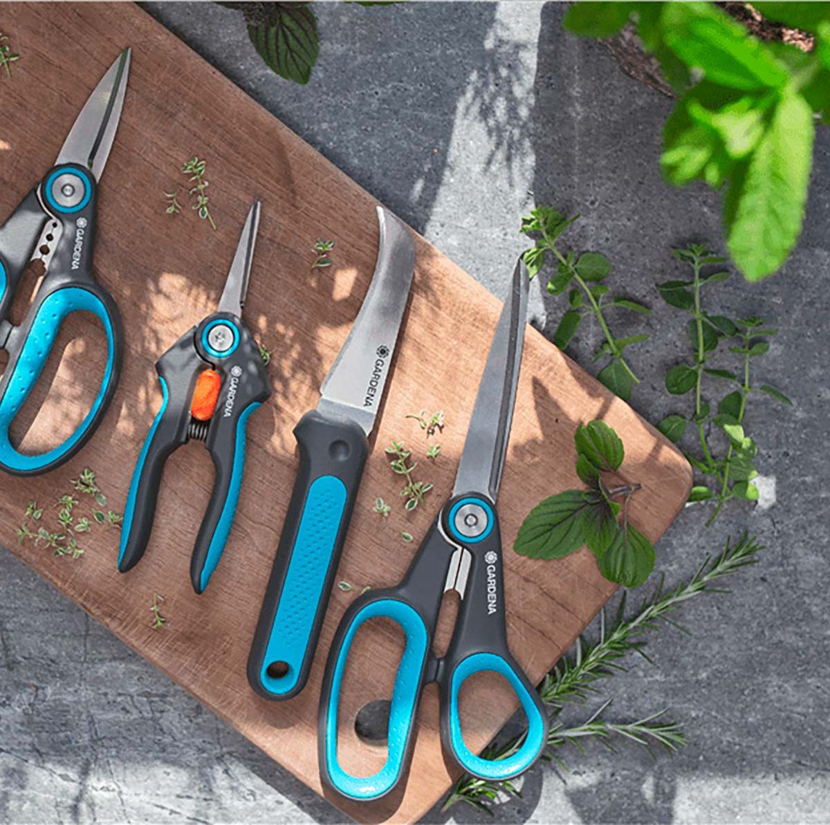 5 herramientas básicas de jardinería - Todo Ferreteria