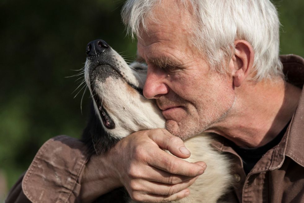 Sledehondenheld Sven Engholm knuffelt een van zijn vele huskys