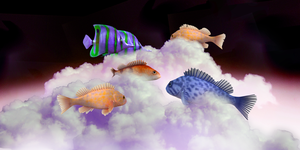 a group of fish swimming through clouds