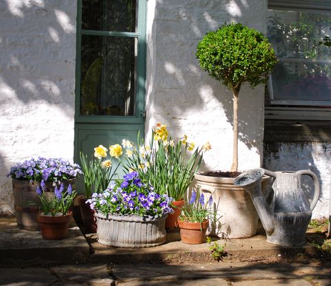 a portable potted garden at oak spring in upperville, virginia