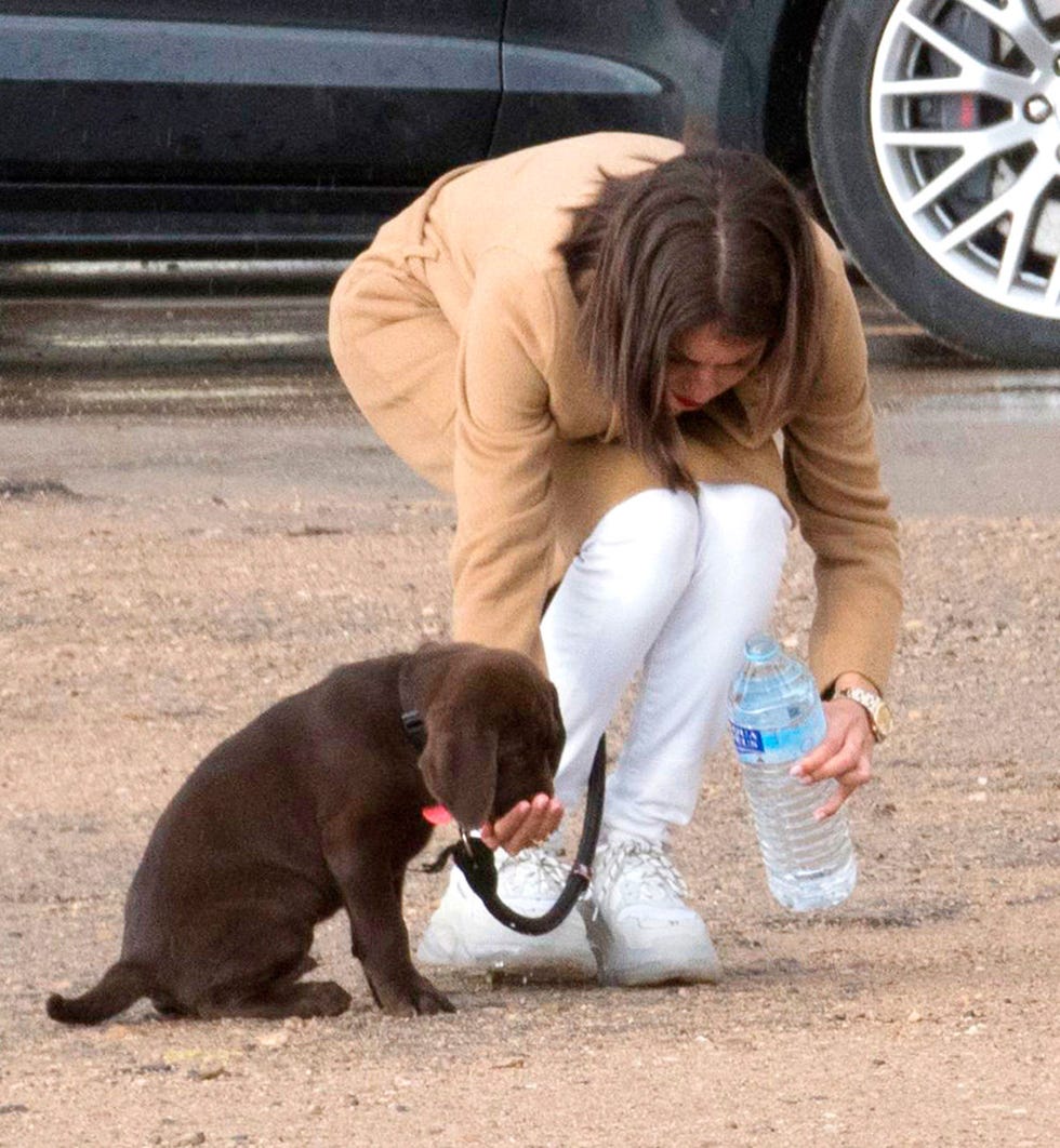 Hiba Abouk, muy pendiente de su pequeño labrador Raï