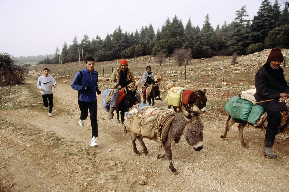 hicham el guerrouj corre entre los burros en ifrane, marruecos