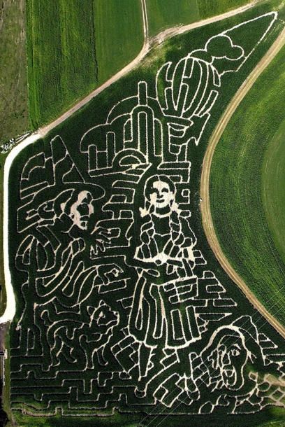 hidden trails corn maze