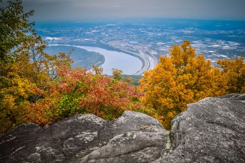 high angle view of autumn trees against landscape seen from cliff