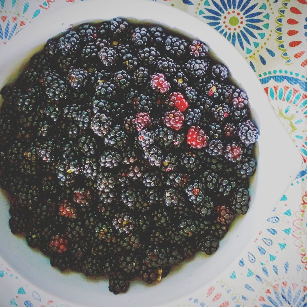 high angle view of blackberries in bowl