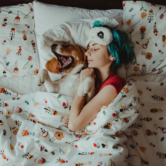 https://hips.hearstapps.com/hmg-prod/images/high-angle-view-of-dog-relaxing-on-bed-at-home-royalty-free-image-1621002035.?crop=0.669xw:1.00xh;0.166xw,0&resize=640:*