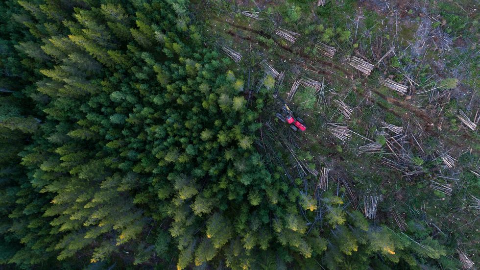 High Angle View Of Forestry Machinery Amidst Trees In Forest
