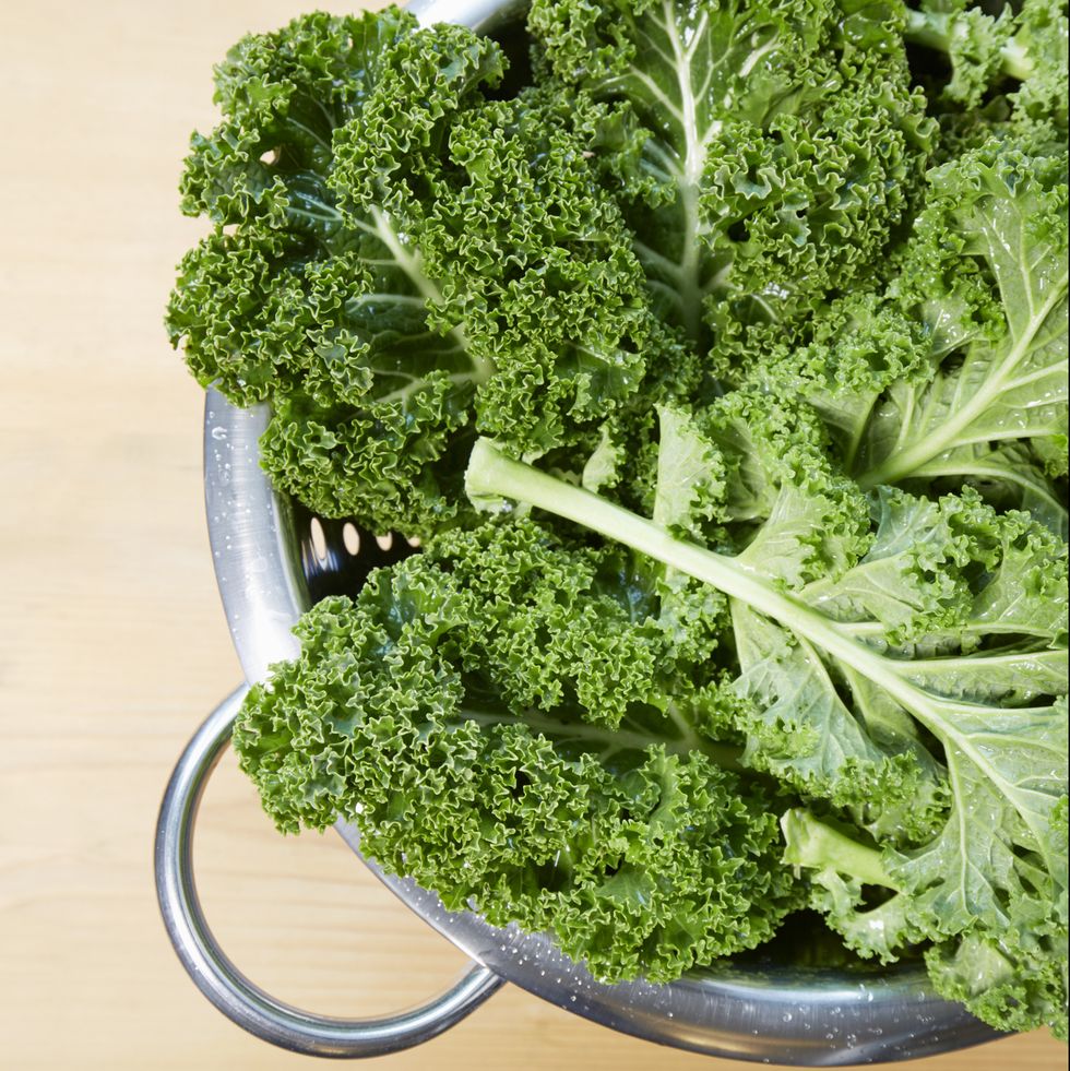 High angle view of fresh kale in a colander