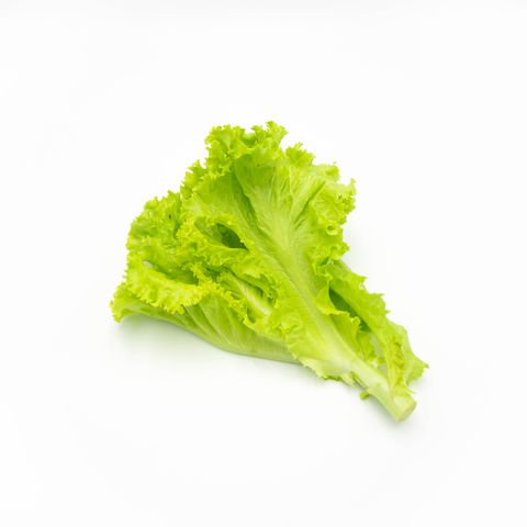 high angle view of lettuce on white background