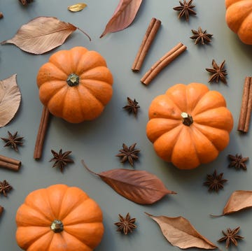 high angle view of pumpkins on table