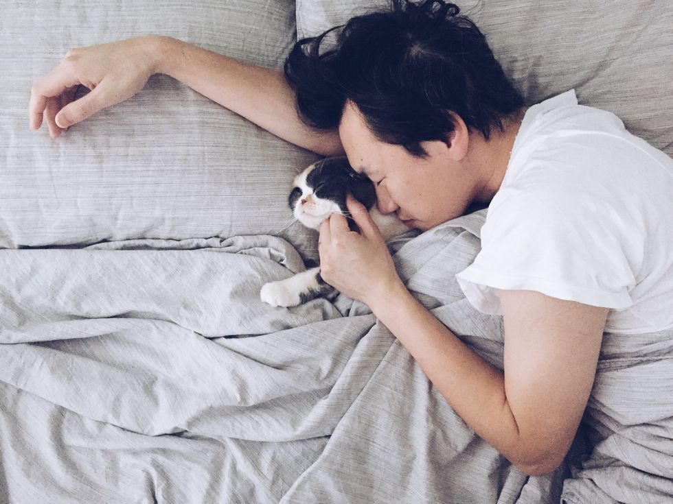 High Angle View Of Young Man With Kitten Sleeping On Bed At Home