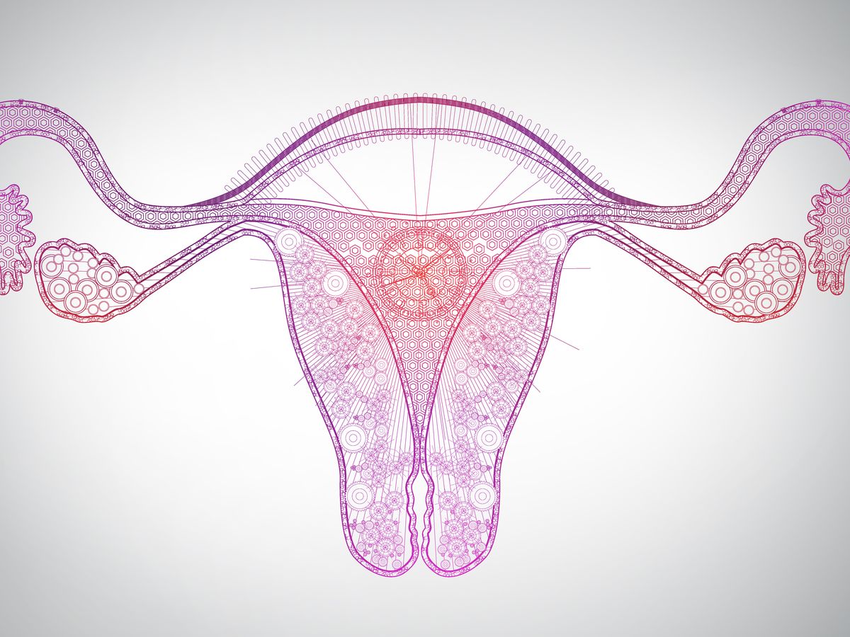 5 things you need to know about the menopause and fertility