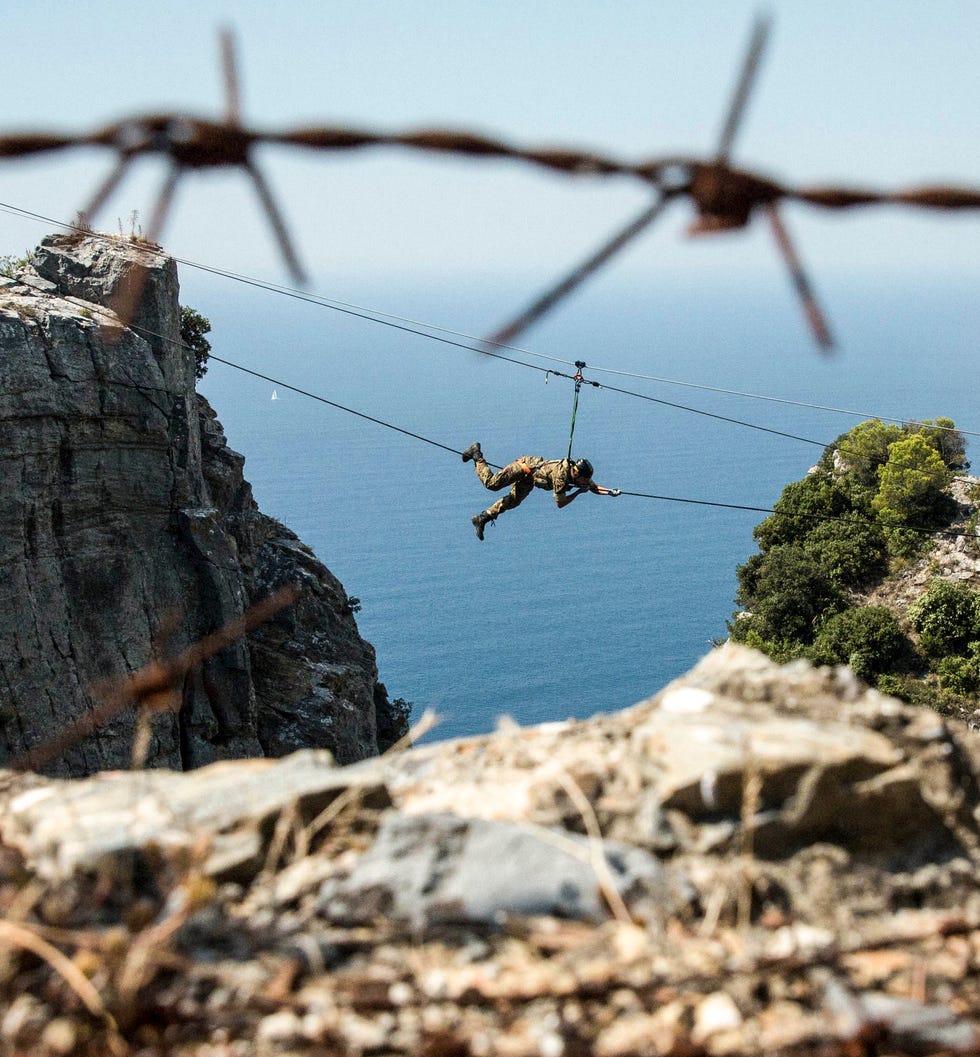 a spider on a rock