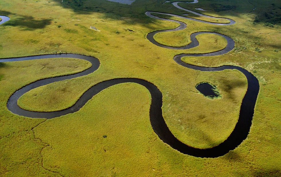 De Okavangorivier meandert door de delta