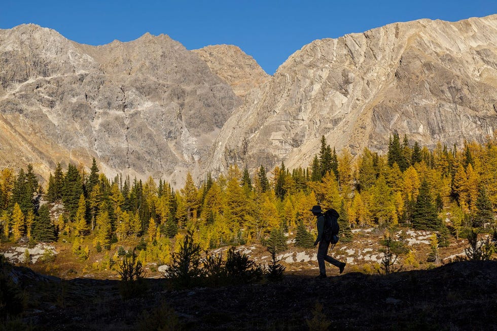 Wandelen in de overweldigende natuur van Banff National Park