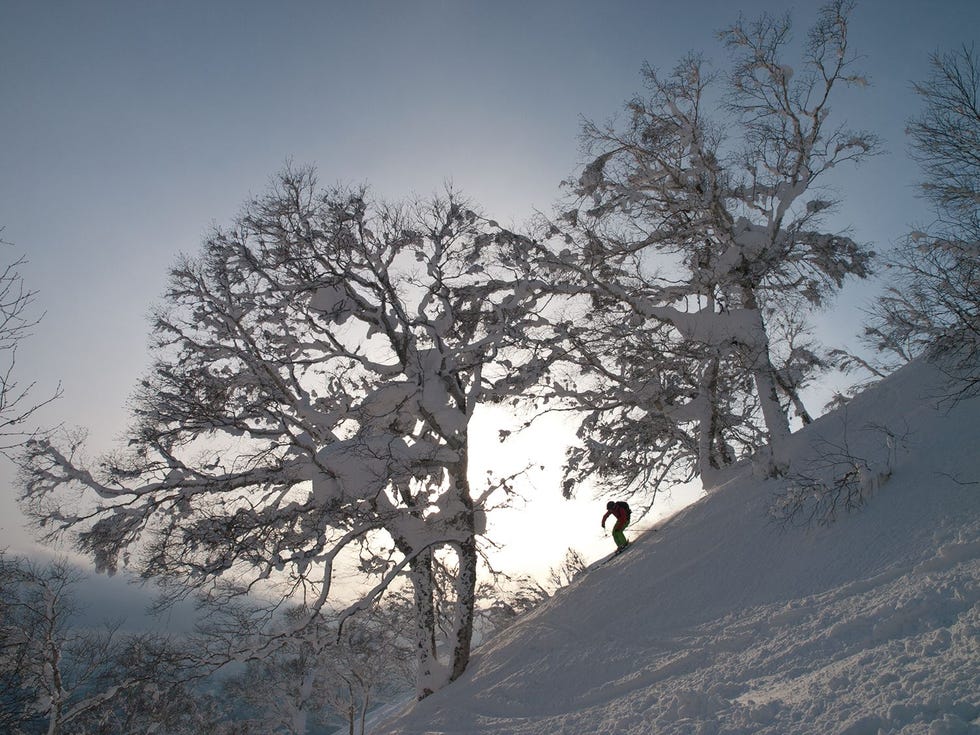 Skin in Hokkaido
