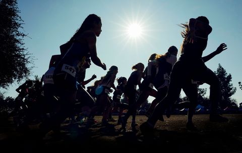 silhouettes of runners at start of the girls division 3 race during the cif state cross country championships at woodward park