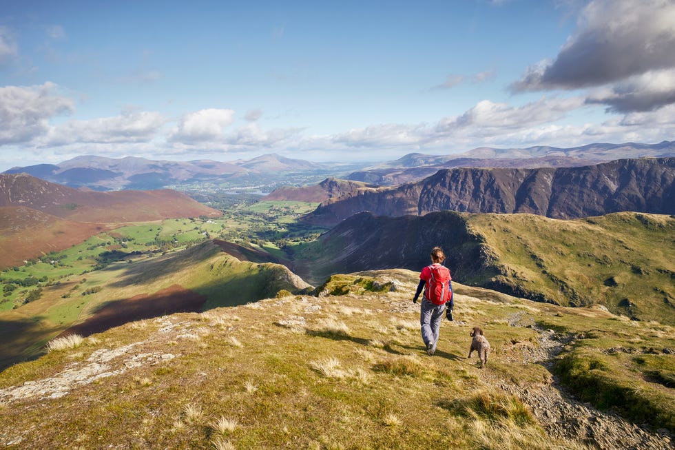 Dog-friendly holidays Dog-friendly holidays