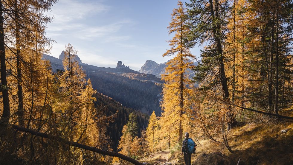 autunno