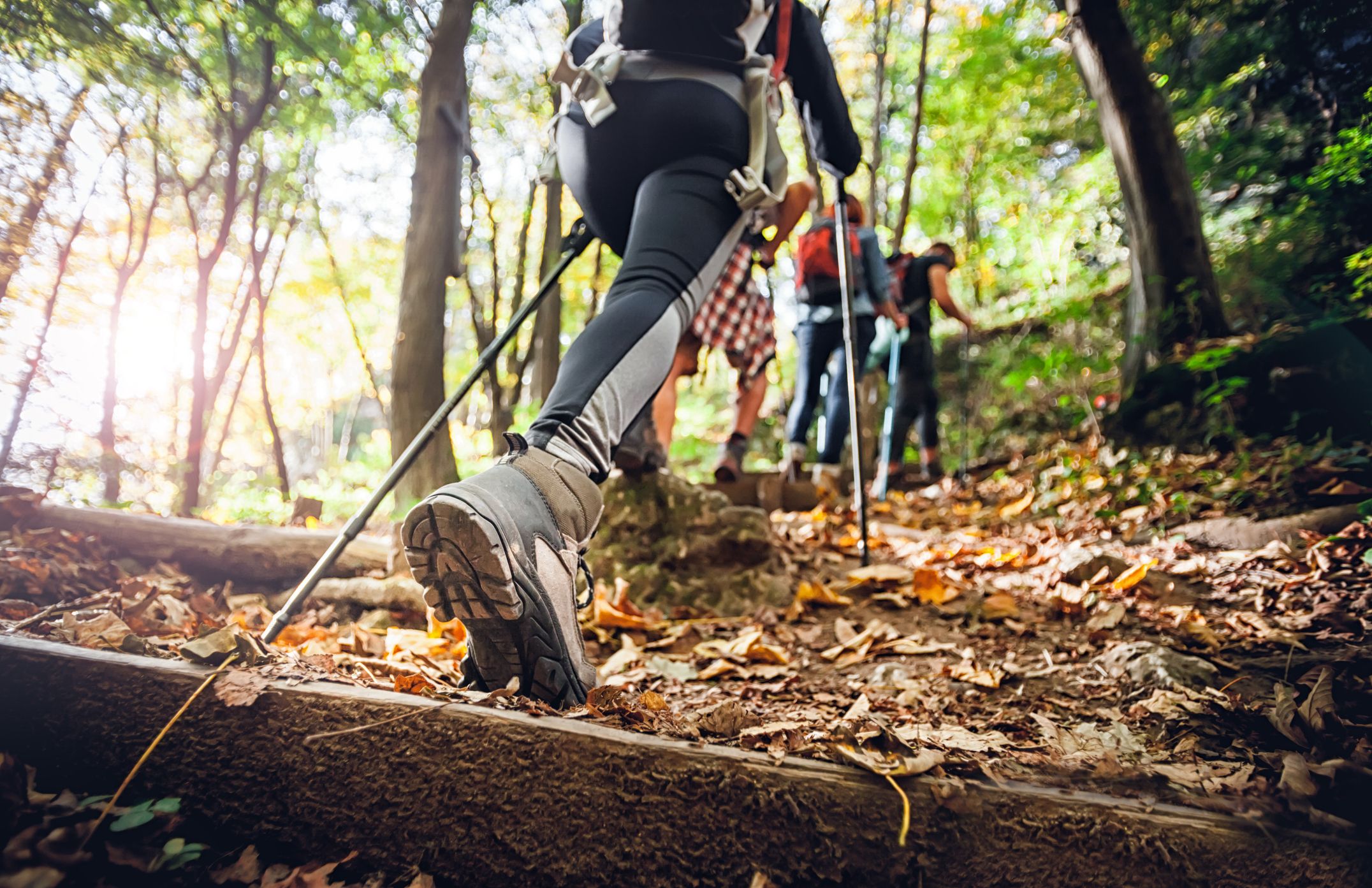 Hiking shoe store sales