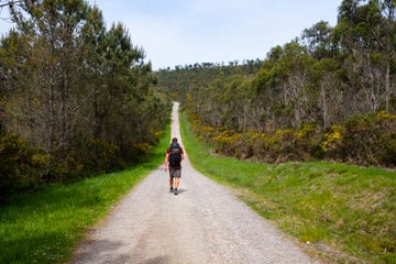 walking the camino de fisterra