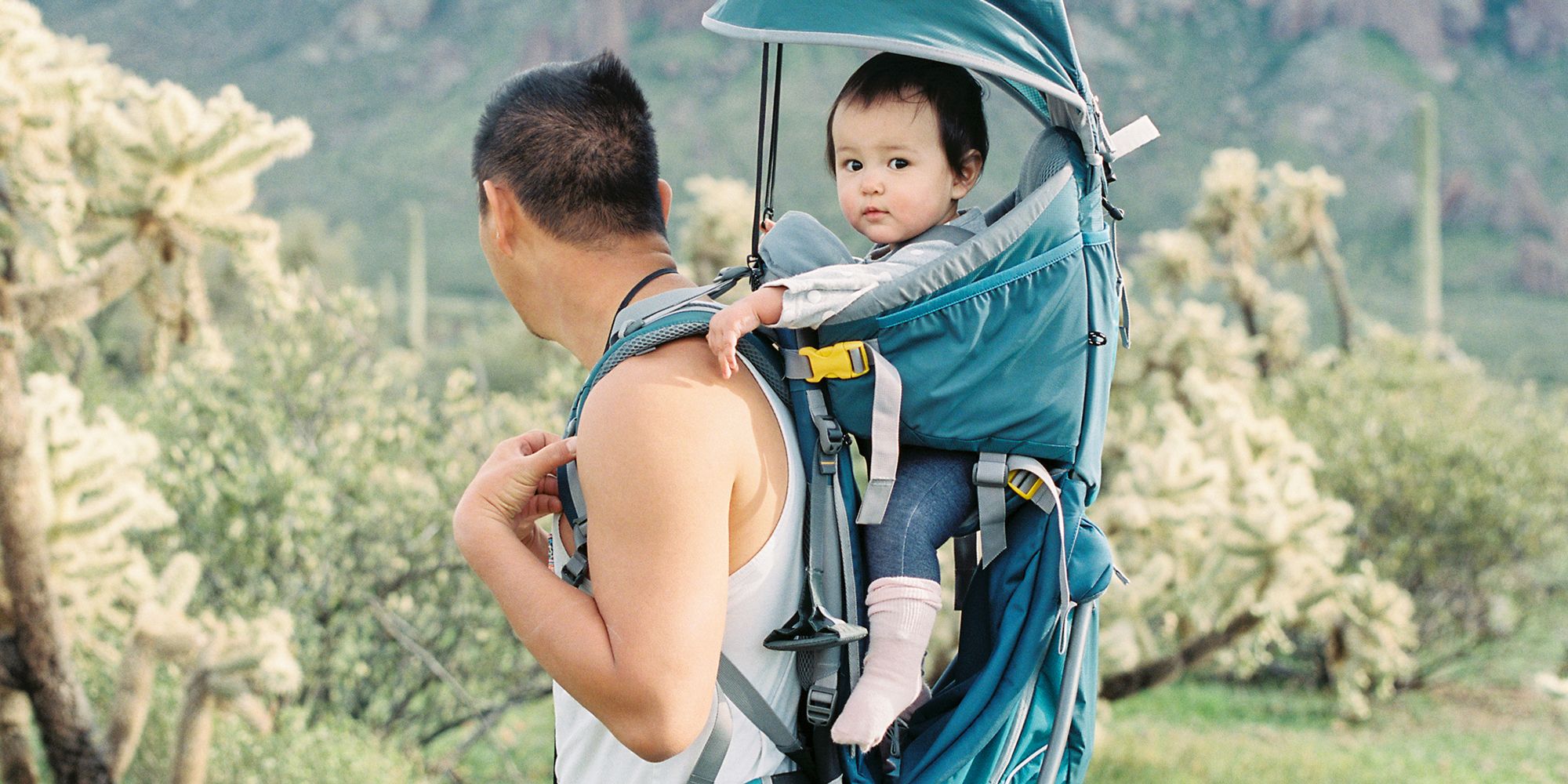 dad and baby hiking backpack