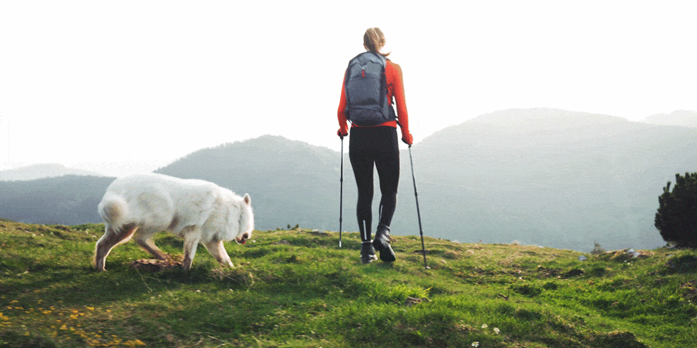 woman hiking mountains with daypack and white dog
