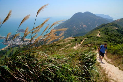 HONGKONGGa met Wild Hong Kong op een wandeltour over de prachtige toppen van de Dragons Back Trail waar je de groene kant van deze stad van wolkenkrabbers ervaart Trek je dan terug in de koele ruimten van de opmerkelijke nieuwe kunsthal Xiqu Centre dat gewijd is aan de Kantonese muziek en opera