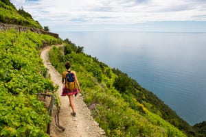 hiking past vinyards along the cinque terre