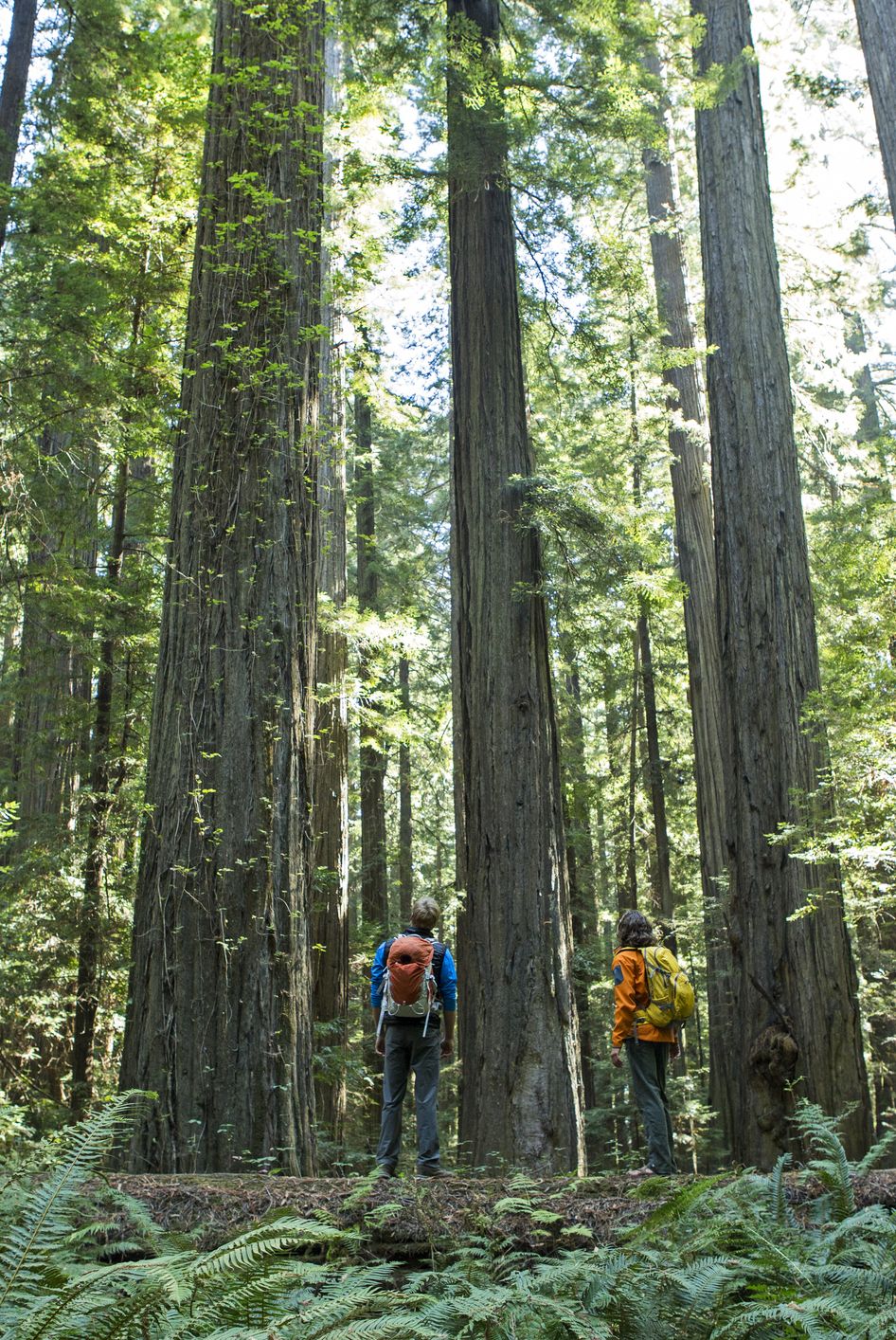 50 Best Hiking Trails in America - Top-Rated Hikes in Every State